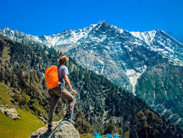 NaturePulse Outfitters’ Guide to Essential Hiking Gear